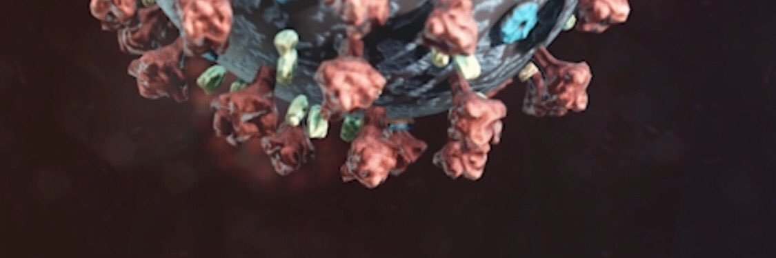 SAlpeche's profile banner image