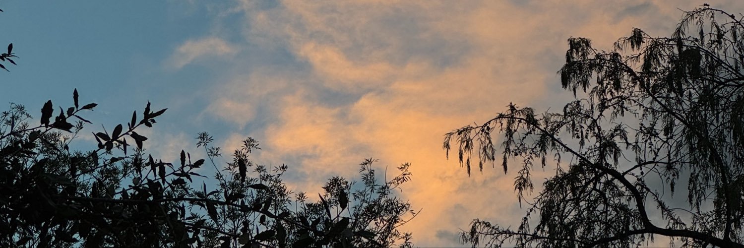 drdiegov's profile banner image