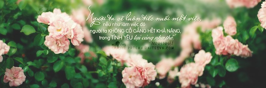 CathyJilChan's profile banner image