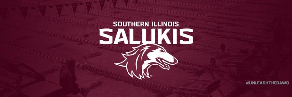 SIU_SwimDive Profile Banner