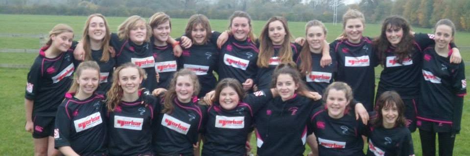 Gosford Girls banner