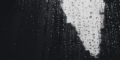 danielgrlgdr's profile banner image