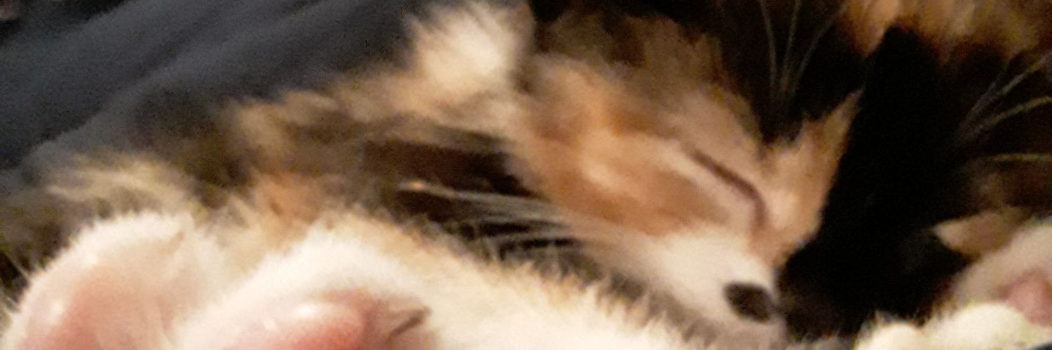 shiningxlibra's profile banner image