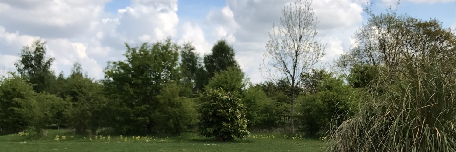meadow8910's profile banner image