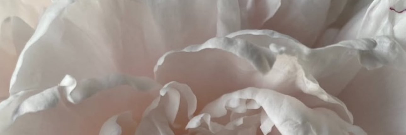 gallantanik's profile banner image
