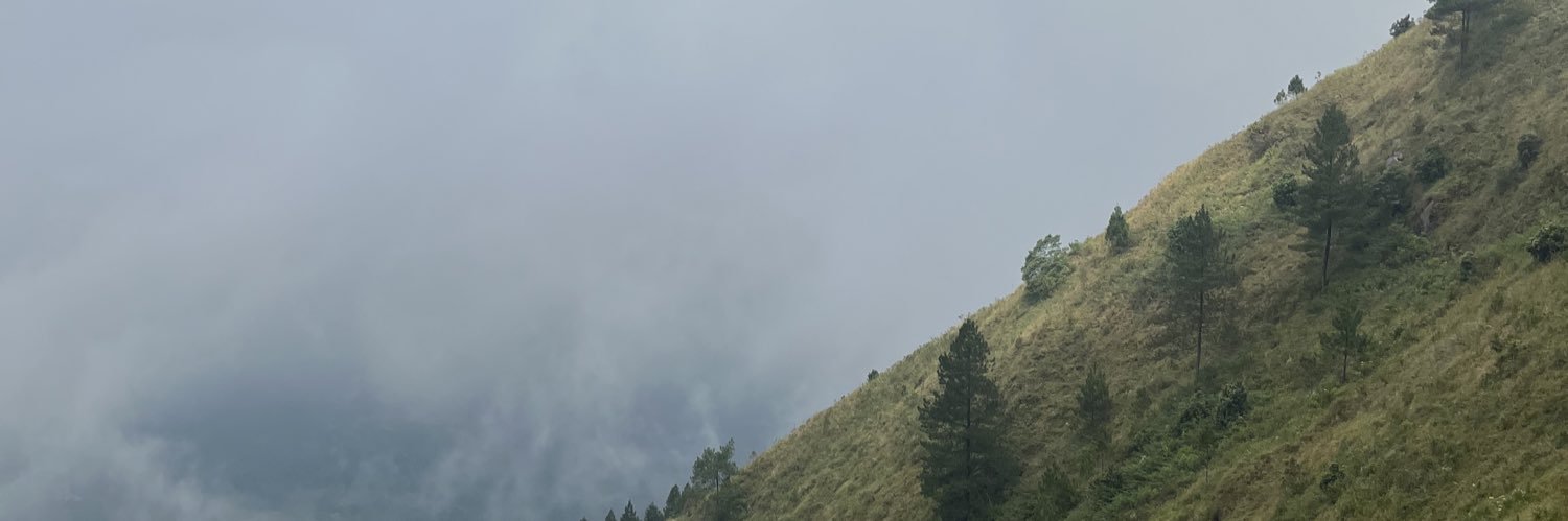 nunuggetz's profile banner image