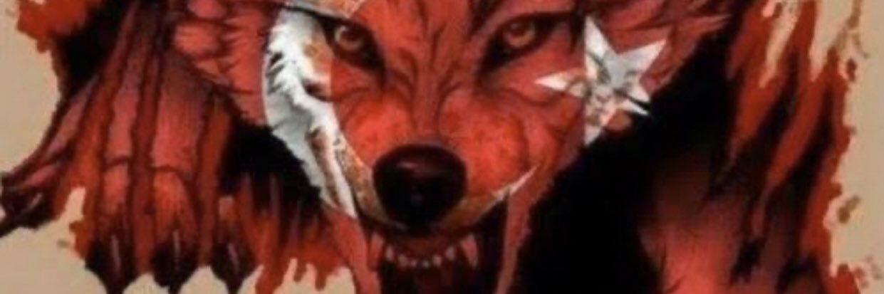 AvciMat's profile banner image