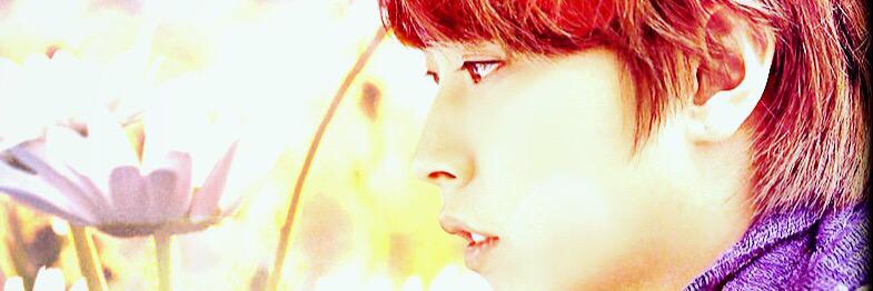 theMintimes's profile banner image