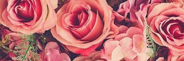 erinemadison's profile banner image