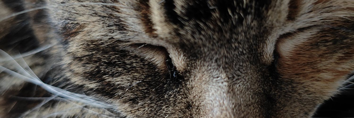joinjeremy's profile banner image