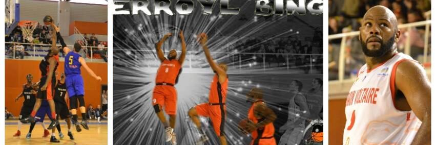 Erroyl Bing banner