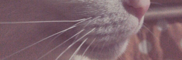 dirtytrashroad_'s profile banner image