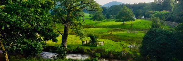 aoflynn1 Profile Banner