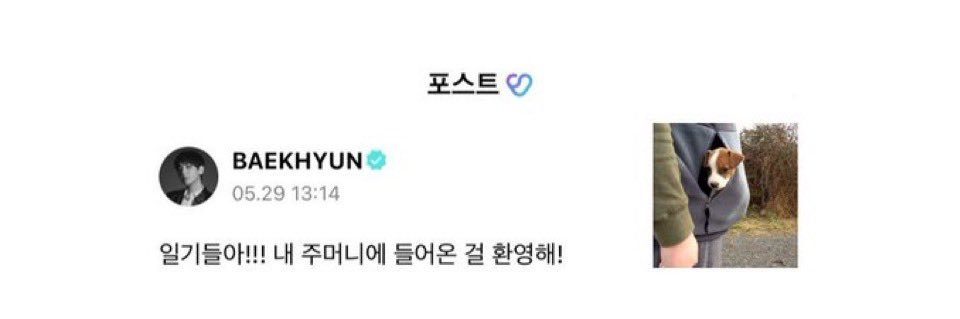 bbhbird's profile banner image
