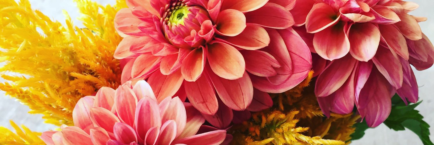 Aschalay's profile banner image