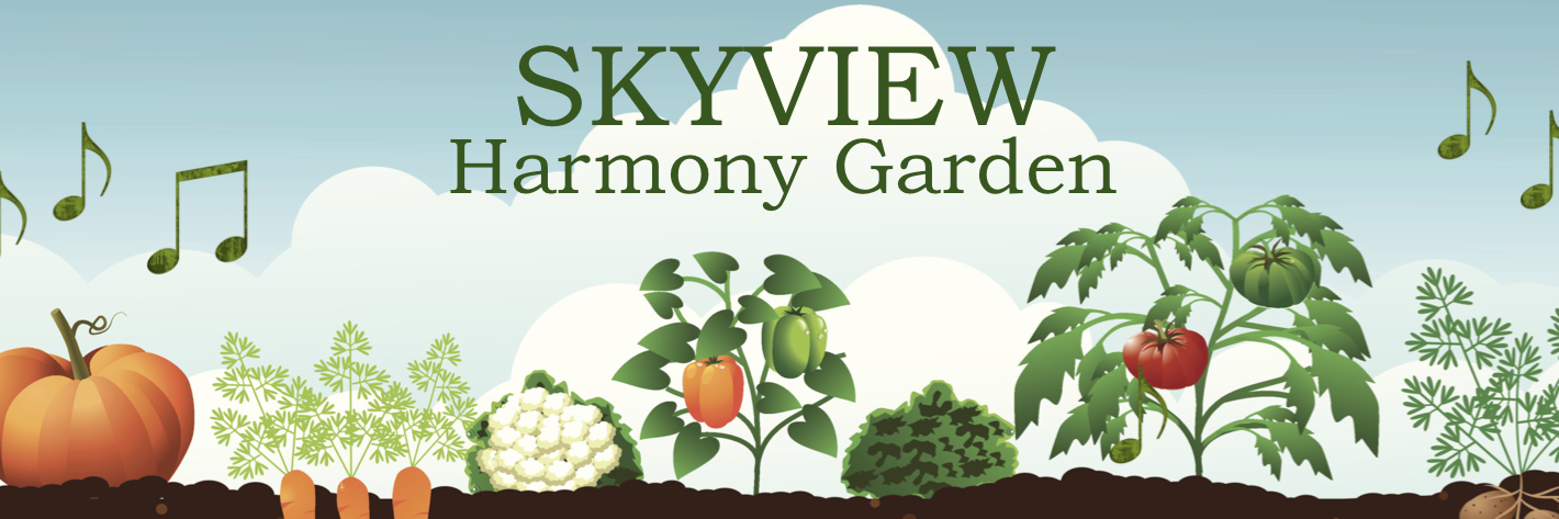 SkyviewGarden's profile banner image
