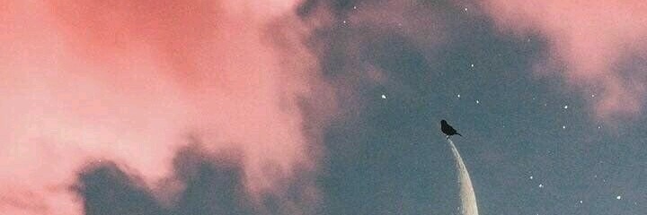 hamoda151's profile banner image