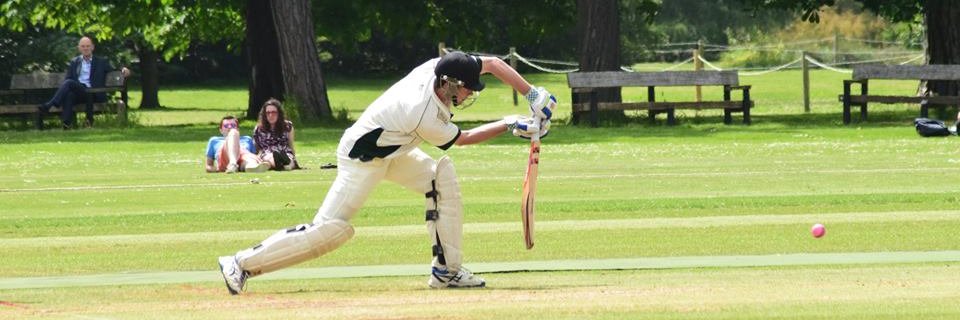 halwilkinson97's profile banner image