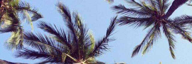 MelissaTatti's profile banner image