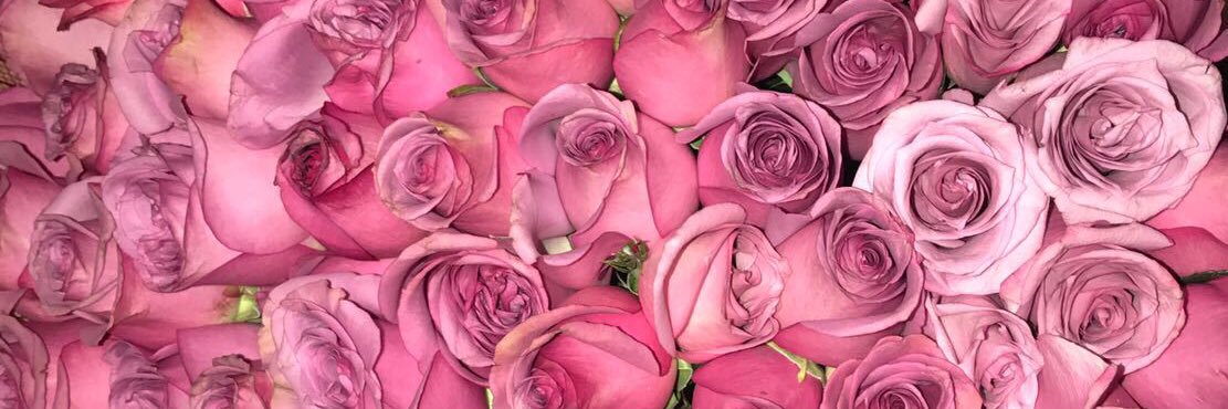 agsrb_'s profile banner image