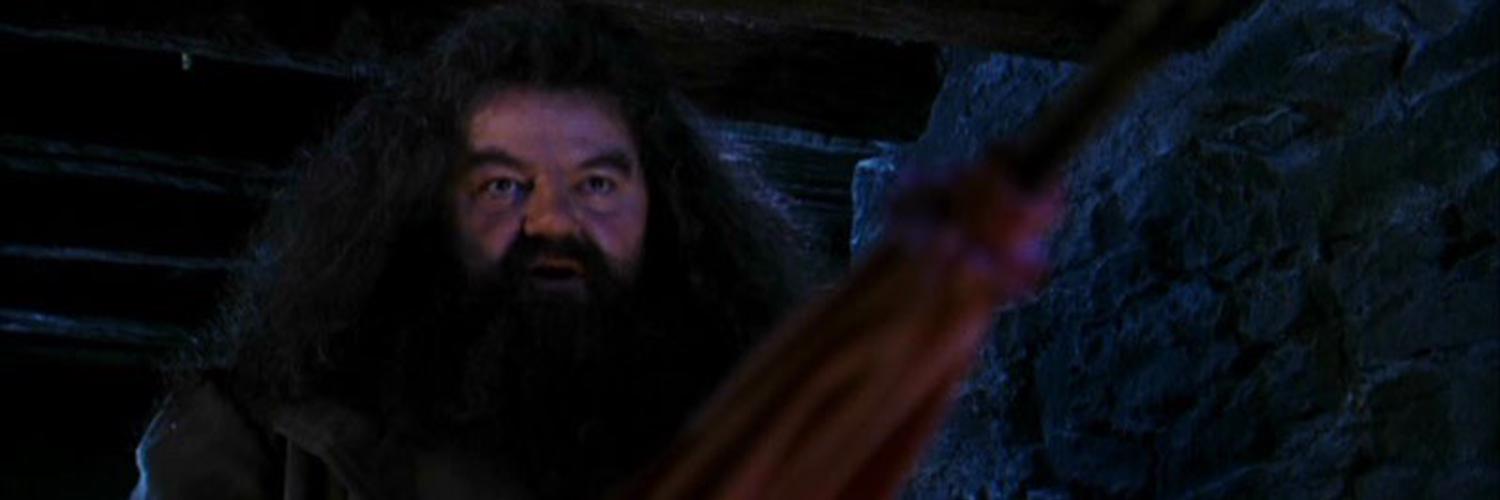 hagrid's wand in umbrella