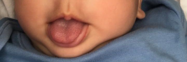 graphoshb's profile banner image