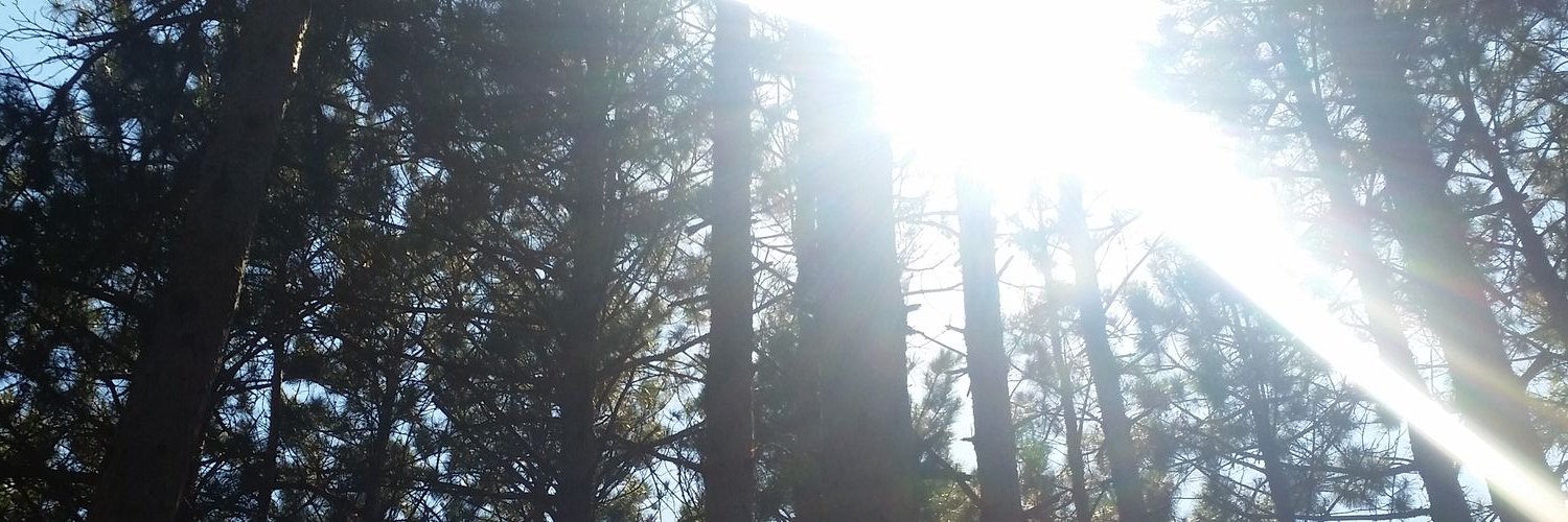 mmarygreerr's profile banner image