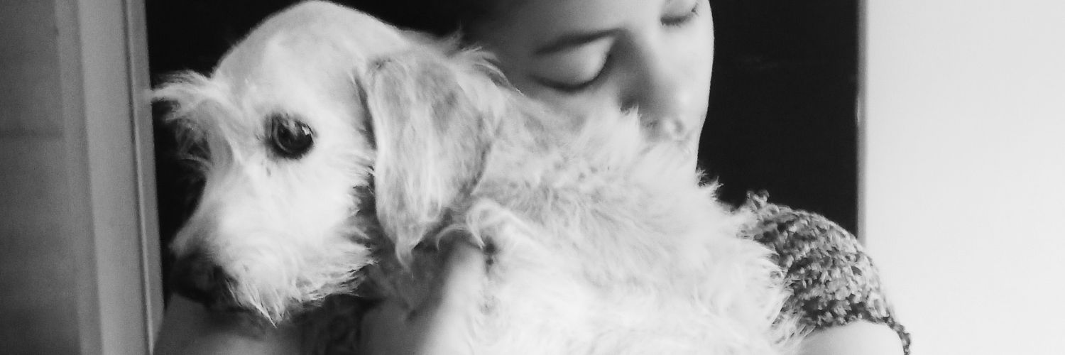 143luisafer's profile banner image