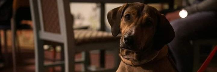 lazrakic's profile banner image