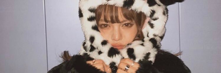 y_maicha's profile banner image