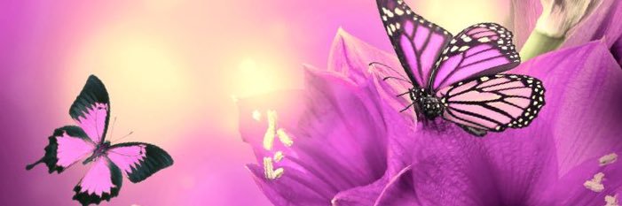 Make Brooks banner