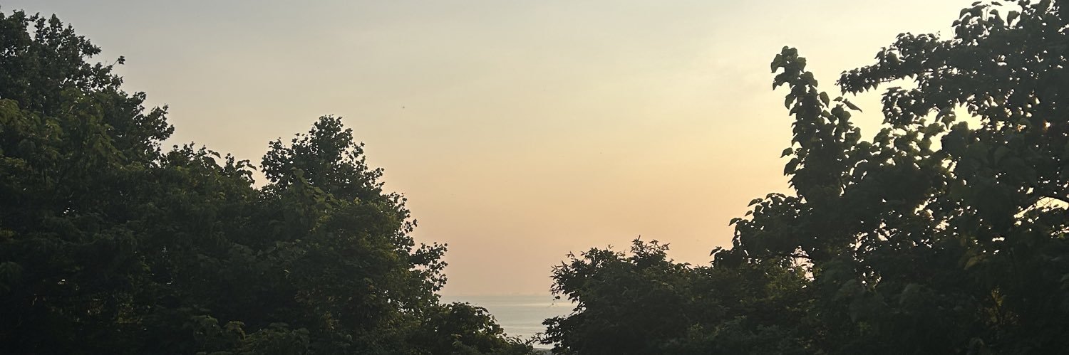 pyaramor's profile banner image