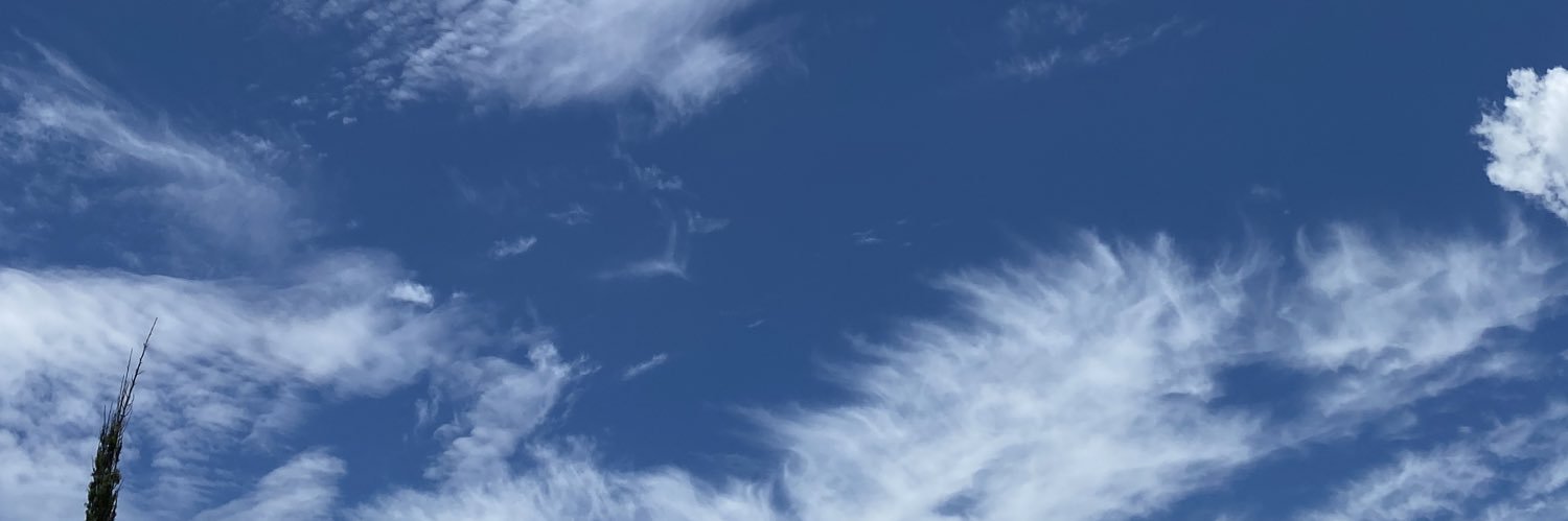 Chilasqui's profile banner image