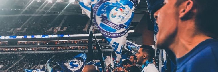 Tiago banner