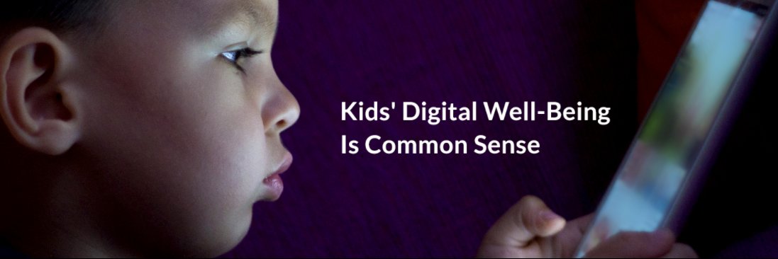 Common Sense Kids Action banner
