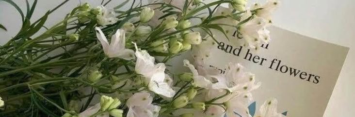 Jia, tarot reading open! banner