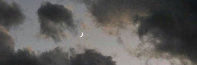 shaydenstackhou's profile banner image