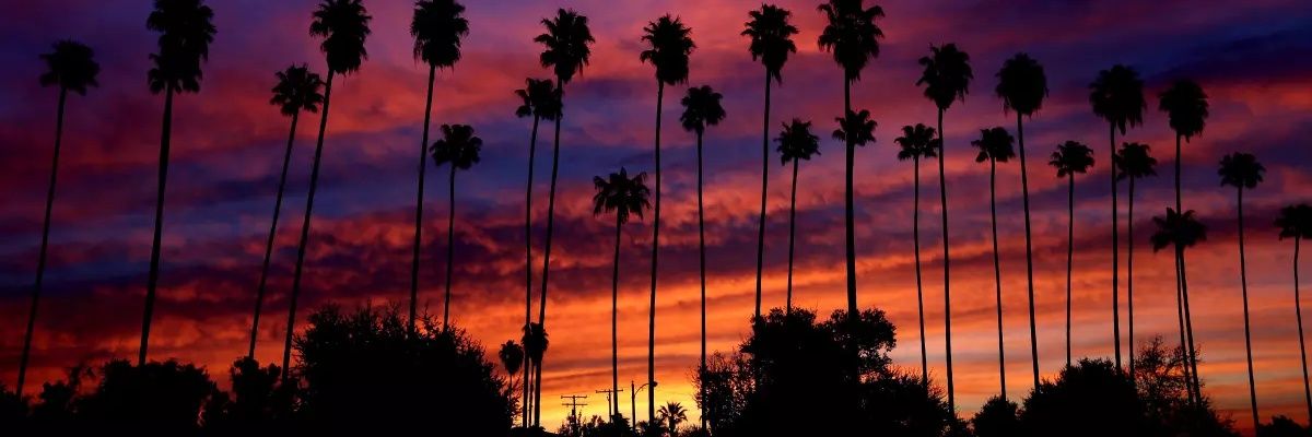 𝓢.𝓝 𝓢𝓪𝓷𝓽𝓪 𝓜𝓪𝓻𝓲𝓷𝓪 😅⃤(𝒮𝑀𝐼𝐿𝐸𝒴) banner