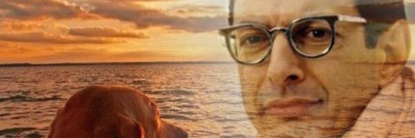 Caleb Findley banner