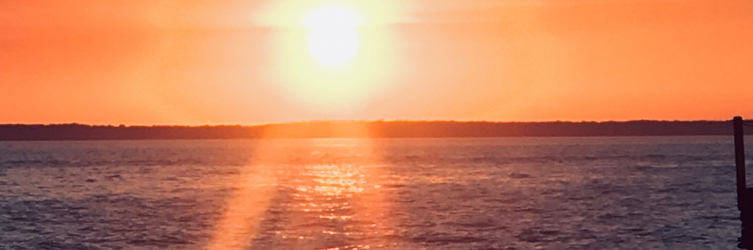 AmySt73's profile banner image