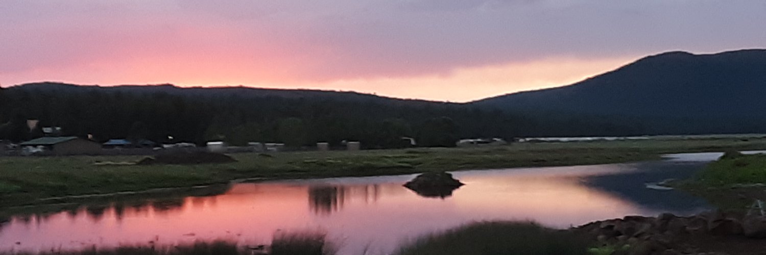 ShawnWestern's profile banner image
