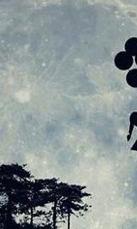 daniela celis banner