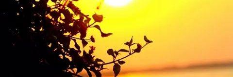 dewa_tani's profile banner image