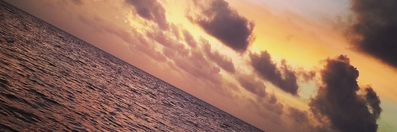 LMWFNP's profile banner image