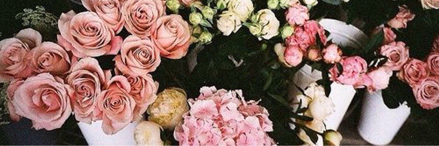 irennepy's profile banner image