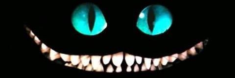 CatusArii's profile banner image