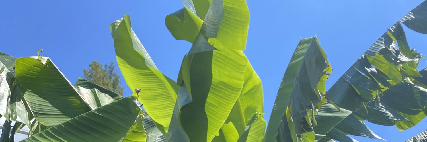Alexysssssss's profile banner image
