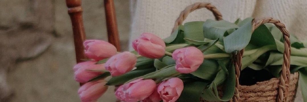 byoon_alshreef's profile banner image
