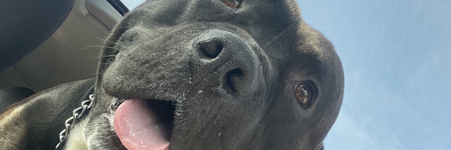 Q_Powell5's profile banner image