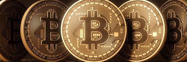 ngthu310's profile banner image